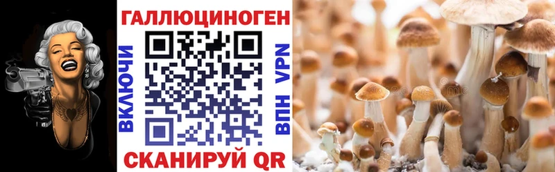 Псилоцибиновые грибы Magic Shrooms  Купить где  Харовск 